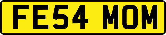 FE54MOM