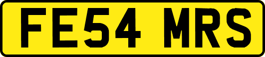 FE54MRS