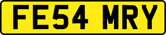 FE54MRY
