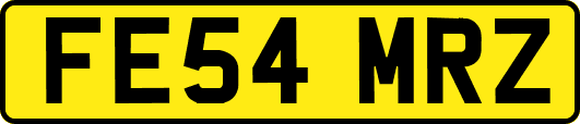 FE54MRZ