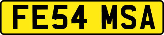 FE54MSA