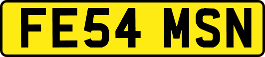 FE54MSN