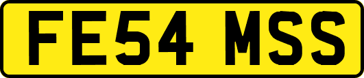 FE54MSS