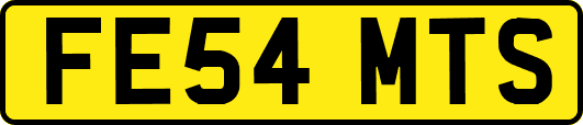 FE54MTS