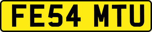 FE54MTU