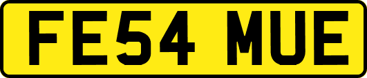 FE54MUE
