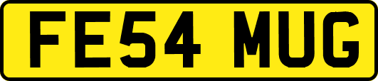 FE54MUG