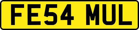 FE54MUL