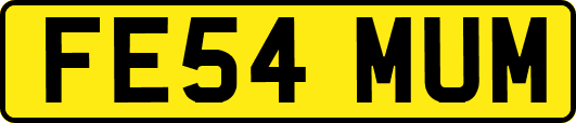 FE54MUM