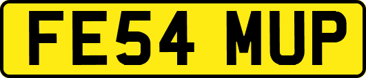 FE54MUP