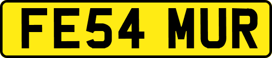FE54MUR