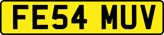 FE54MUV