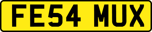 FE54MUX