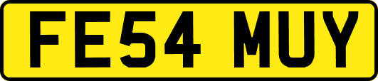 FE54MUY