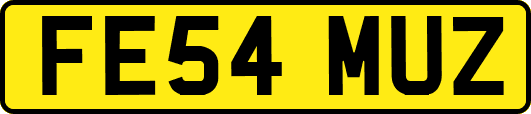 FE54MUZ