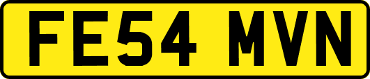 FE54MVN