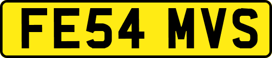 FE54MVS