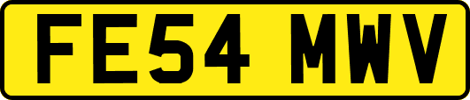 FE54MWV