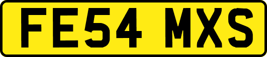 FE54MXS