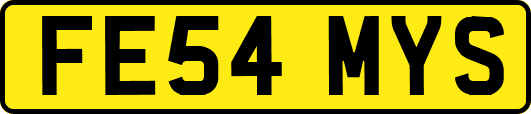 FE54MYS