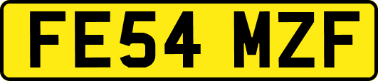 FE54MZF