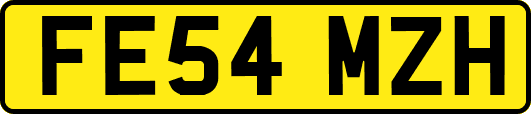 FE54MZH