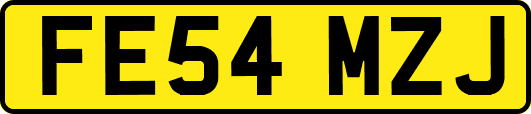 FE54MZJ