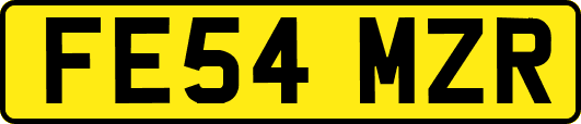 FE54MZR