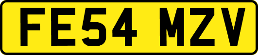 FE54MZV