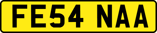 FE54NAA
