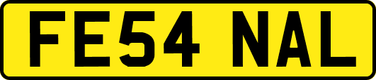 FE54NAL