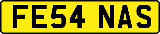 FE54NAS