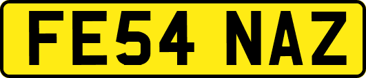 FE54NAZ