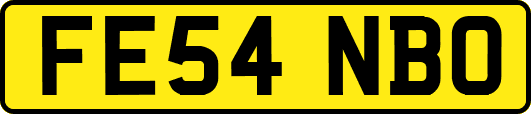 FE54NBO