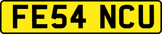 FE54NCU