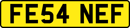 FE54NEF
