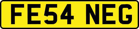 FE54NEG