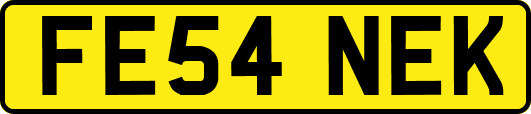 FE54NEK