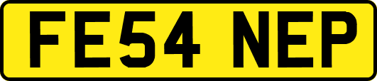 FE54NEP