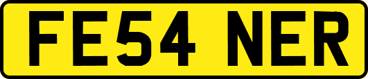 FE54NER