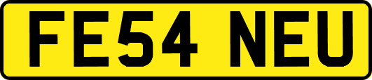 FE54NEU