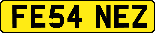 FE54NEZ