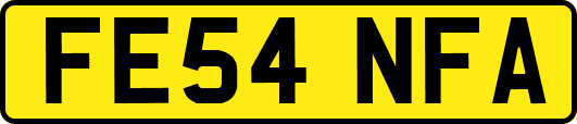FE54NFA