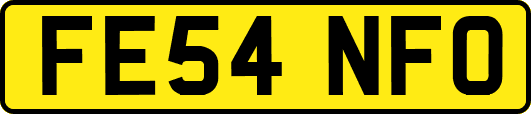 FE54NFO