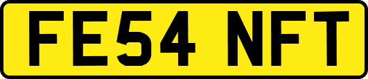 FE54NFT