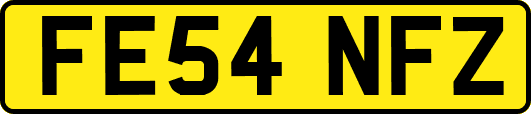 FE54NFZ