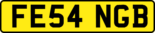 FE54NGB