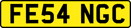 FE54NGC