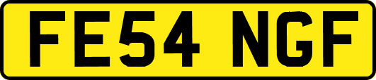 FE54NGF