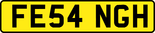 FE54NGH